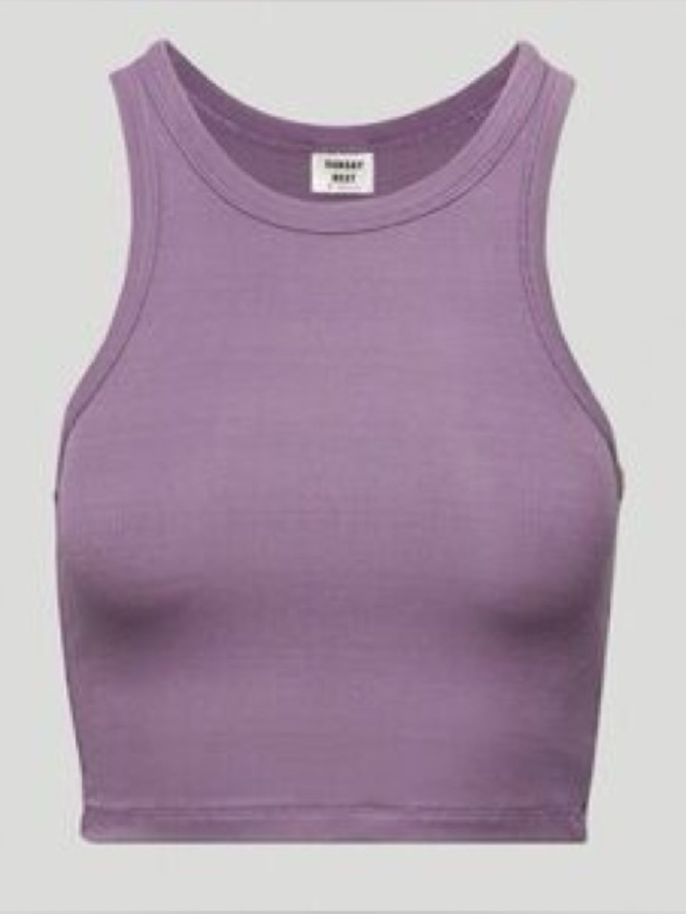 Aritzia Sunday Best Honor Cropped Tank- Purple Taupe Ribbed Tank Top